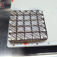 Vrieskoek, mousse, sponskoek, chocolade, fruitcake, reep, rechthoekige plak, titanium mes, bakkerij, meelmolen, automatisch