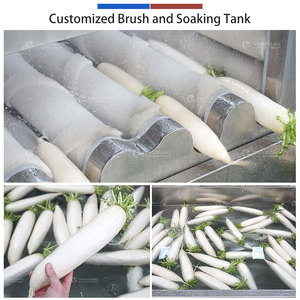 Large Root Vegetable Yam Turnip Beetroot Brush Washing <b>Machine</b> With Soaking Pool And Multi <b>Row</b> Spray Nozzles For Vegetable Plant - Product Image 5