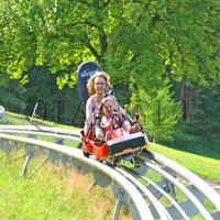Parc d'attractions Manèges alpine pipe slide roller coaster Mountain Alpine Roller Coaster