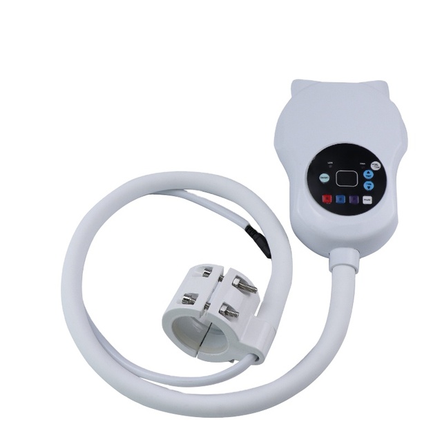 Professional Dental Teeth Whitening Lamp 10 LED Teeth Whitening Lamp Oral Care Machine
