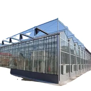 Glass Greenhouse Agricultural Products Greenhouses For Grow