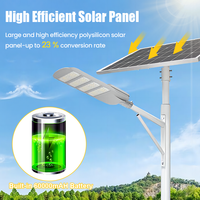 Lampadaire Solaire Extérieur 100W 150W 200W 250W, Étanche IP65, Lampe Routière LED avec Batterie LiFePO4 et Panneau Monocristallin