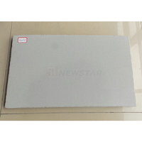 Newstar Stone Carreaux de grès extérieurs Dalle de pavage Pierre d'adaptation Bord de piscine Pavés de grès gris blanc