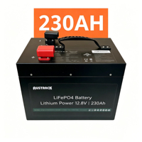 Batería de ciclo profundo LiFePo4 de 12V 24V 48V 100Ah 150Ah 200Ah 300Ah 400Ah 600Ah con celdas de grado A, BMS inteligente Bluetooth, personalizada, en stock en la UE