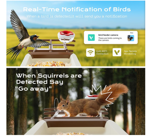 Cámara para Comedero de Aves de Alta Calidad al por Mayor, 2K HD, Panel Solar, Tarjeta de 32 GB, 4 en 1, Percha, Disfruta de la Observación de Cerca, Inalámbrica, para Exteriores - Product Image 6