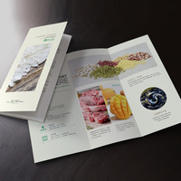 Vente directe d'usine Service d'impression de papier personnalisé plié Marketing publicité dépliant dépliant brochures livret brochures imprimer