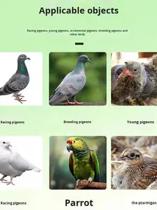 Private Label piccioni viaggiatori piccioni allevamento piccioni piccioni carne indigestione appetito supplemento potenziamento - Product Image 4