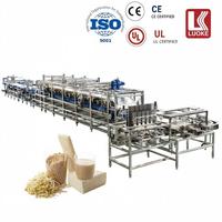 Ligne de production automatique de tofu Momen sans emballage ni moule, facile à utiliser, équipement pour la fabrication de tofu moelleux