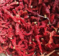 Piment rouge séché Erjingtiao de qualité supérieure en vrac, fourni par l'usine, à haute teneur en capsaïcine, faible humidité, 10% d'huile de piment, Hebei, sans additifs