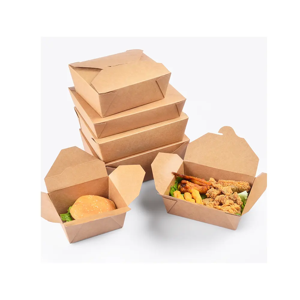 Cắm trại Kraft carton tái chế cấp thực phẩm thân thiện với môi trường lấy đi salad Burger chiên gà carton bao bì hộp