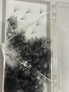 Ventilateurs d'extension de cils en cheveux synthétiques 4D Premade Volume Base étroite Stock 0.05 0.07 C D Ventilateurs lâches préfabriqués Lash - Product Image 6