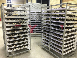 Mushroom <b>drying</b> <b>equipment</b> Industrial Mushroom <b>Drying</b> <b>Equipment</b> with PLC Control System for Dehydrating Fresh mushroom - Product Image 5