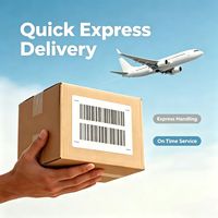 Service de livraison express aérien auprès d'un transitaire, agent d'expédition économique pour la gestion de fret urgent et la logistique porte-à-porte