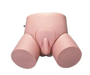 医療トレーニング用の安価な電子式男性/女性尿道カテーテル挿入および浣腸モデル、ISO認証取得済み - Product Image 3