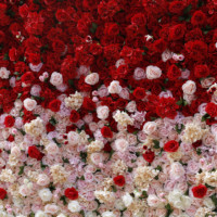 Panneau mural personnalisé en rose de soie blanche 3D pour décoration de mariage rangée de fleurs artificielles enroulable de rouge décoration de fond de scène mur de fleurs roses