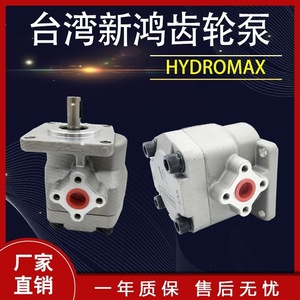 Pompe à engrenages hydraulique Hsin Hung HGP-2AF11R 12R 9R 8 6 5 4 3 2R pour usage industriel - Product Image 5