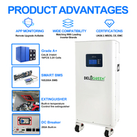 Batterie Lifepo4 Deligreen personnalisée 51,2 V 100 Ah/200 Ah/300 Ah/320 Ah avec système d'extinction d'incendie intégré à vendre