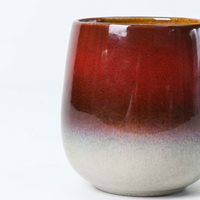 Fournisseur de la Chine Tasse à thé en céramique de couleur rouge émaillée au meilleur prix