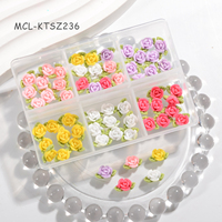 Fleur 3D Nail Art Résine Fleur Nail Art Charms Box Kawai Nail Art Flower for Spring New Designs Charms