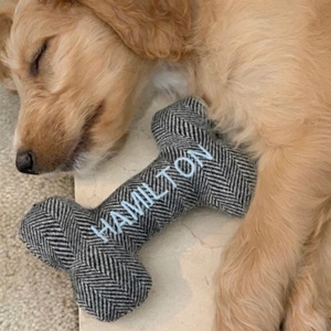 Yeni geldi <span class=keywords><strong>Pet</strong></span> oyuncak kemik şekli yıkanabilir eğlenceli Squeak ses uzun peluş köpek oyuncaklar yorgun değil oyna - Product Image 3