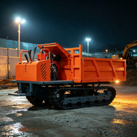 Kompakter Dieselmotor Handgeführter Mini-Raupendumper 2 Tonnen Starke Traktion mit Pumpenlager Hoher Lastmoment für Steinentransport