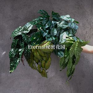 Mur végétal artificiel Secret Garden 30cm-100cm, branche en soie synthétique pour décoration maison et mariage - Product Image 1