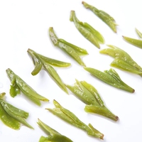 Thé vert biologique Longjing Long Jing de Hangzhou de haute qualité fait à la main, certifié UE USDA