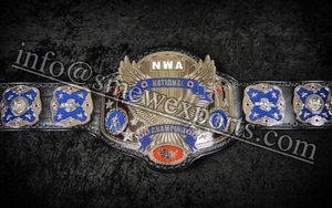 Conjunto de bolsa de guantes de boxeo Cinturón de campeonato de lucha nacional NWA - Product Image 2