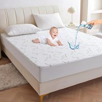 Cloudland Queen Size Jacquard couvre-matelas de lit housse de matelas imperméable en bambou à fermeture éclair avec un design élégant