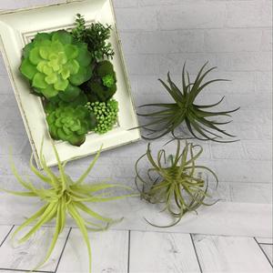 Planta Artificial Personalizada en Maceta Grande, Decoración de Pared Artificial, Artículos de Decoración para el Hogar, Bonsái Barato, Plantas Ornamentales para Dormitorio - Product Image 6