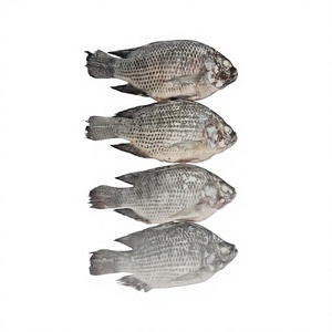 VAN BACH TUNG Pescado Congelado Entero Premium 1 kg, Alta Calidad, Alto Valor Nutricional, 100% Natural, Envasado al Vacío, 12+ Meses de Duración - Product Image 1