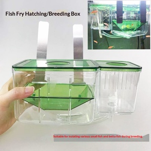 Lussuoso Acquario in Plastica Ecologica per Allevamento e Isolamento di Pesci Tetra - Product Image 2