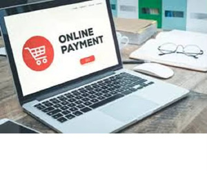 Plataforma de Pago de Cuotas Escolares con Equipo de Desarrollo de Aplicaciones de Alto Nivel Disponible para Padres, Basada en Linux, Versión en Línea Disponible - Product Image 3