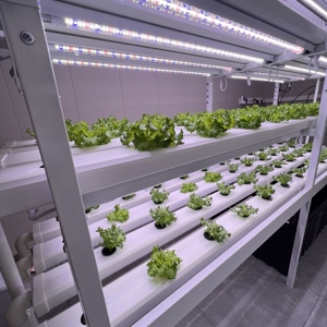 Système de culture <span class=keywords><strong>hydroponique</strong></span> intelligent Skyplant à 5 niveaux-Jardin intérieur contrôlé par WiFi avec lumières de croissance LED, réservoir de 200L - Product Image 6