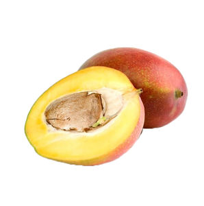 アフリカマンゴー種子カプセル野生マンゴー種子粉末マンゴー種子エキスを販売するメーカー - Product Image 3