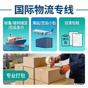 Zhonglong International Logistics : Ligne dédiée de fret maritime et aérien du Pérou vers la Bolivie et l'Équateur, dédouanement et expédition transfrontalière. - Product Image 2