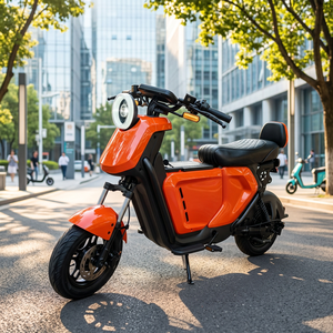 Motocicleta Todoterreno Eléctrica de 14 Pulgadas, 1200W, sin Escobillas, de Ultra Largo Alcance, 65 km/h, para Montaña, UE - Product Image 4