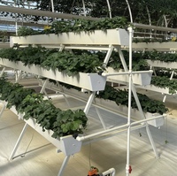 Systèmes hydroponiques authentiques en PVC de qualité alimentaire, non toxiques, résistants à la corrosion et écologiques pour la culture verticale de fraises