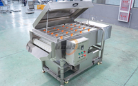 Industriële groenteverwerkingslijn met bubbelwasser, borstelwasser, 3-4T/u aardappel-, radijs-, appel- en fruitwaslijn