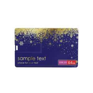 Tarjeta de memoria USB de pvc para negocios, unidad de memoria flash de 2GB, 4GB, 32GB, 64GB, 8GB y 16GB, barata, tarjeta de visita de plástico, promoción - Product Image 6