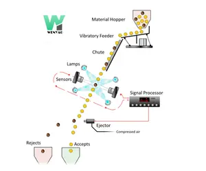 Intelligente Multifunktions-Kaffeebohnen-Sortier rohstoff Kaffee-Farbauswahl-Lebensmittel verarbeitung maschinen