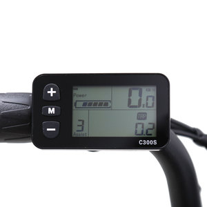 Nouvelle arrivée, vélo de 20 pouces, batterie au lithium 48V 250W, vélo familial pour les longues distances, livraison rapide, cadre soudé - Product Image 2