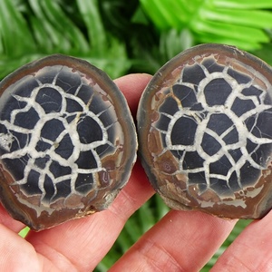 Venta al por Mayor de Losas de Piedra con Patrón de Tortuga Natural, Cuarzo Reiki Curativo de Buena Calidad para Colección de Hogar u Oficina - Product Image 3