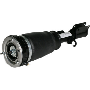 Repuestos de Auto, Amortiguador de Suspensión Neumática de Alta Calidad 37116757501 37116761443 Delantero Izquierdo para E53 - Product Image 1