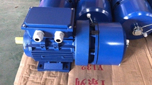 Moteur électrique 10hp, moteur à induction électrique monophasé <span class=keywords><strong>MY</strong></span> series personnalisé - Product Image 2