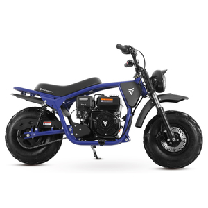 รถมอเตอร์ไซค์ Tao Motor 2025 โครงใหม่ 196 ซีซี มินิไบค์ - Product Image 6