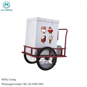 チェストフリーザービジネス販売 Suppliers-158Lソーラーチェストフリーザー12ボルト冷蔵庫フリーザーアイスクリームフリーザー電動自転車付き