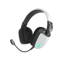 Casque de jeu sans fil 2.4GHz pour PS5 PS4 FPS Gamers PC Nintendo Switch Blue tooth 5.3 Casque Son stéréo Batterie 24 heures