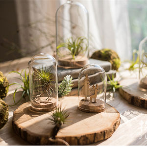 بيع بالجملة مباشر من المصنع، غطاء زجاجي لعيد الحب، ثلاث وردات خالدة محفوظة للأبد في قبة زجاجية لهدايا عيد الحب - Product Image 2