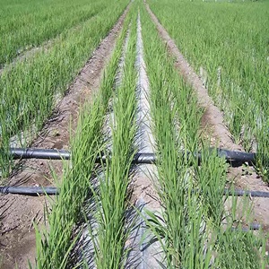 Conception libre <span class=keywords><strong>dessin</strong></span> libre systèmes d'irrigation à grande échelle système d'irrigation à mouvement latéral système d'irrigation goutte à goutte pour la riziculture - Product Image 5